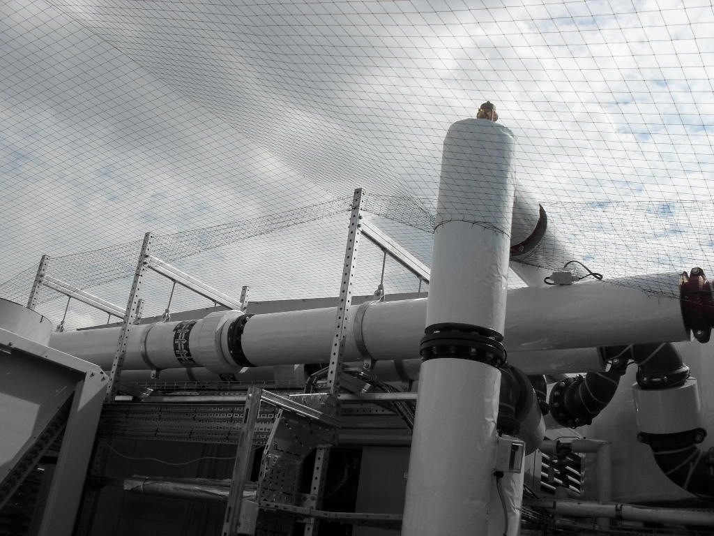 Bird Control in Sutton Coldfield, West Midlands